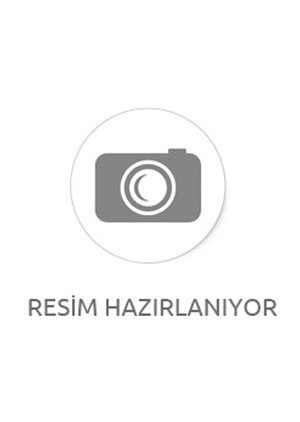 5.SINIF MOBESE DENEME-2